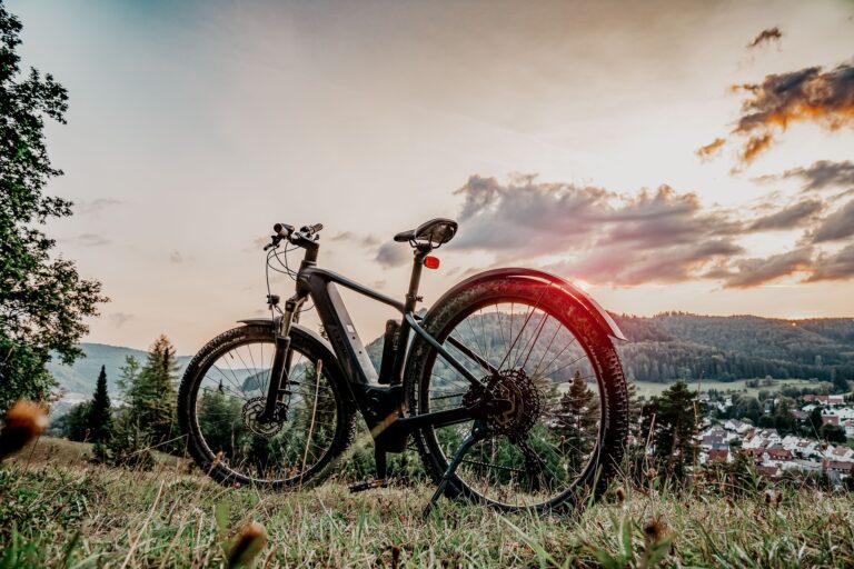 E-Bikes für das Jahr