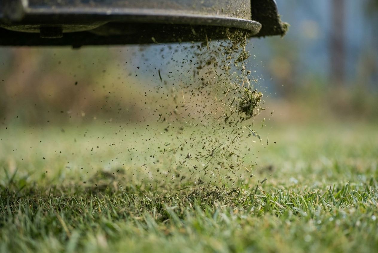 Fein zerkleinerter Grasschnitt fällt beim Mulchen zurück in die Grasnarbe