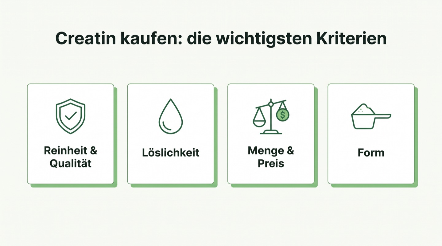Infografik: Die wichtigsten Kaufkriterien für Creatin-Monohydrat im Überblick