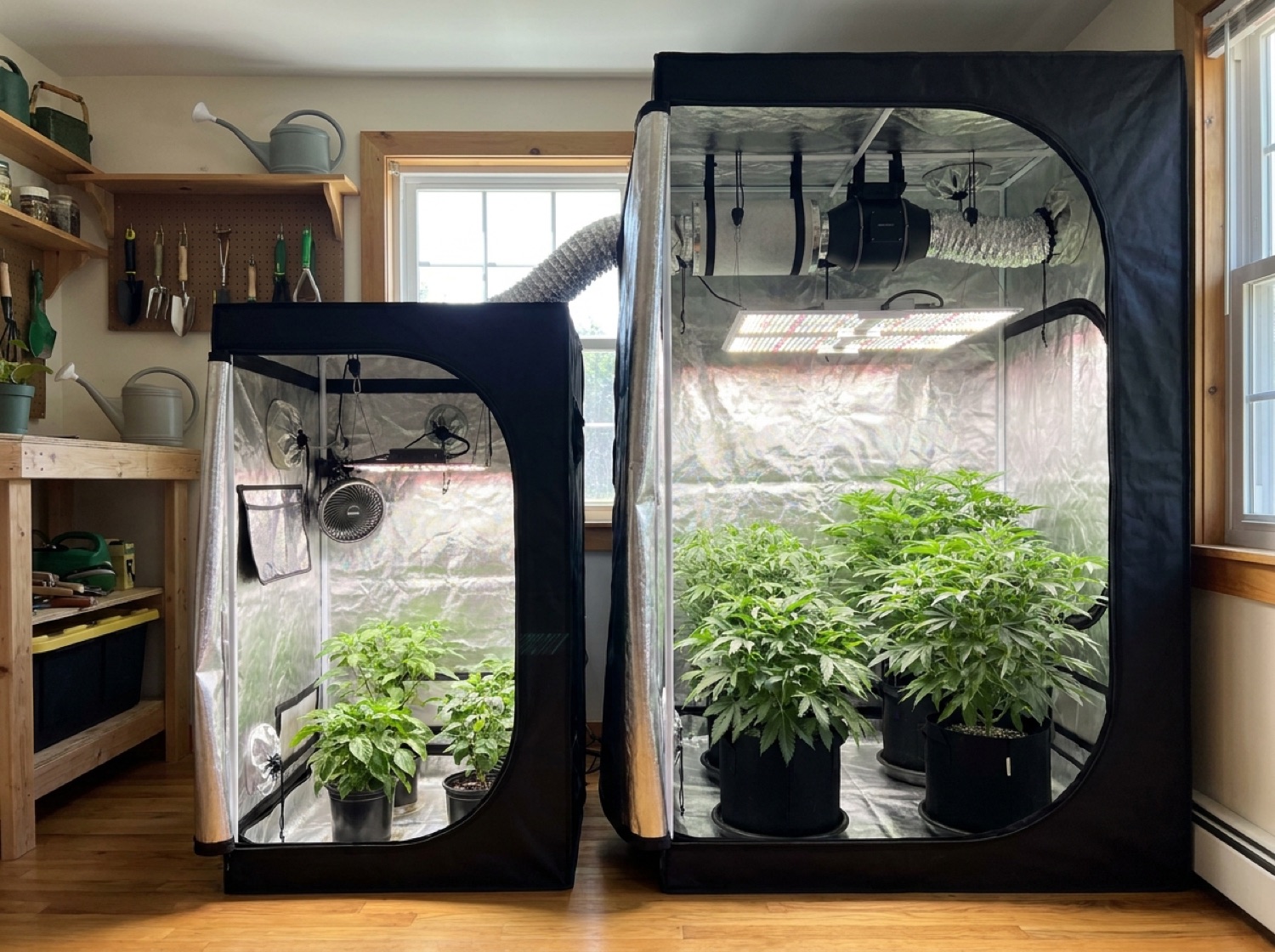 Growbox-Ausstattungsklassen im Vergleich: Einsteigerset, Mittelklasse und Vollausbau